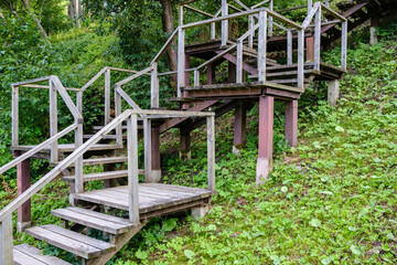 Fototapeta premium wooden boardwalk trail in green forest