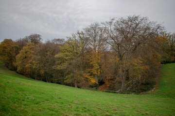 Fototapeta na wymiar autumn landscape on a cloudy day