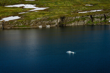 Plateau with snow fields in Norway