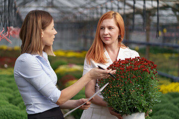 Greenhouse owner presenting flowers options to a potential customer retailer. They have a business discussion, planning future collaboration while noting and negotiating conditions