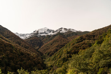 snow mountain landscape with auntumn forest