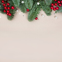 Fototapeta na wymiar Christmas tree frame