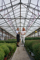Greenhouse owner presenting flowers options to a potential customer retailer. They have a business...