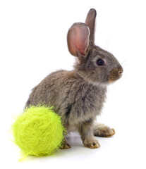 Fototapeta premium Rabbit and ball of thread.