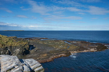 Rockhopper Penguins (Eudyptes chrysocome) on the rocky cliffs of Bleaker Island in the Falkland Islands