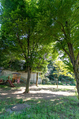 和泉がけ公園（東京都杉並区和泉）