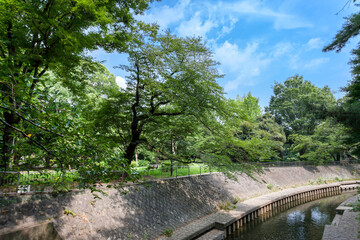和田堀公園（東京都杉並区大宮）
