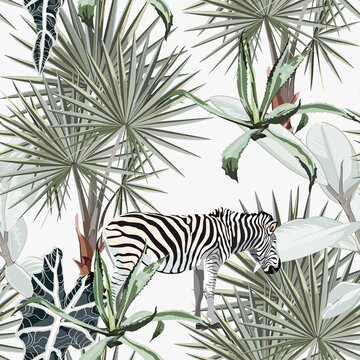 Beautiful tropical vintage illustration background with palm trees, zebra. Isolated on white background. Exotic jungle wallpaper.