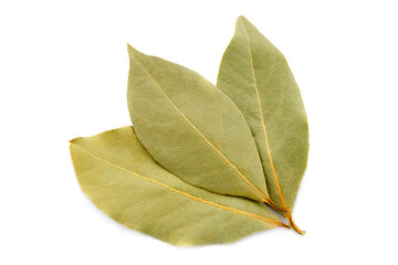 Bay leaf isolated on white background. Three dry bay leaves isolated on white background, top view. Fragrant dry bay leaves. Dry bay leaf, close-up, top view. Culinary spice.