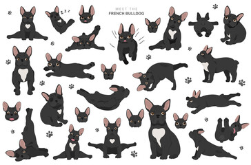 Yoga dogs poses and exercises. French bulldog clipart