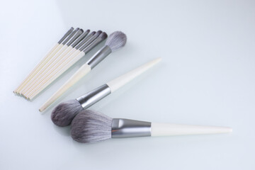 professional makeup brushes on a white background