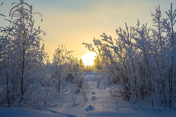 Winter, fabulous landscape at sunset. Yamalo-Nenets Autonomous district