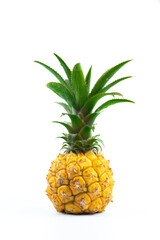 Little baby pineapple on white isolated background perfect vertical photo