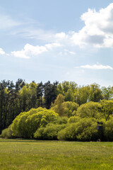 wunderschöne Auenlandschaft im Waldnaabtal bei Oberwildenau