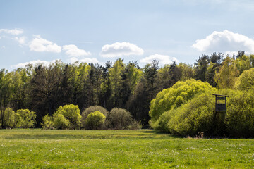 wunderschöne Auenlandschaft im Waldnaabtal bei Oberwildenau
