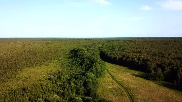 leading lines of drone to the green forest