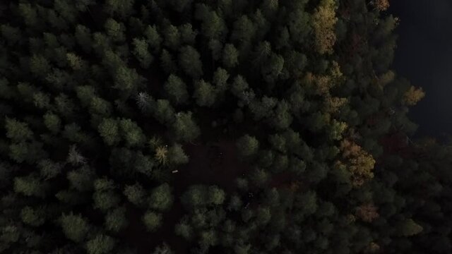 Drone flying down in Harjumaa, Estonia,