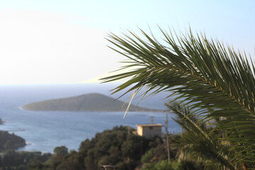 Fototapeta na wymiar view of the island through the palm tree
