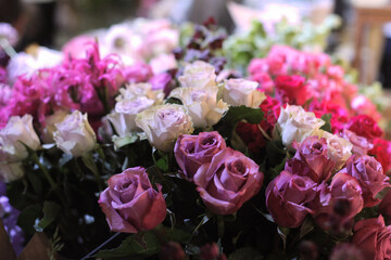 lovely bouquet of pink roses