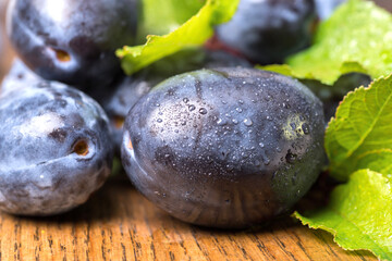 Plums. Fresh ripe washed plums with leafs close-up.