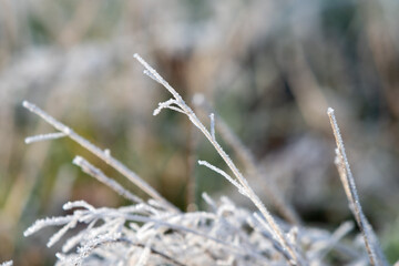 Close up view of winter frost on grass 