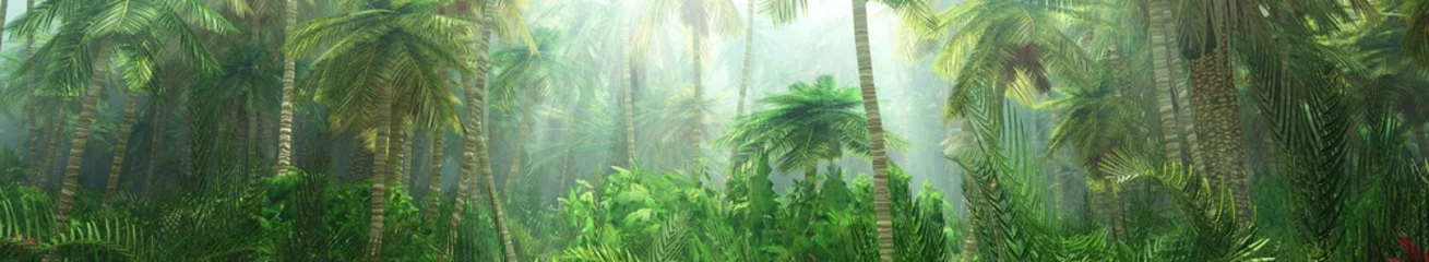 Selbstklebende Fototapeten Khaki Dschungel, Regenwald während der Planke, Palmen am Morgen im Nebel, Dschungel im Dunst,  © ustas