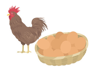 鶏と生卵のイラスト