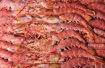 Argentine langoustines frozen in large quantities on a white background top view