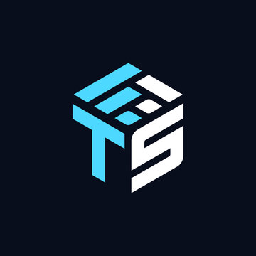 TS Letter Modern Logo and Icon for Event Company and Favicon Website Editable Vector