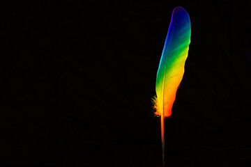 Prism feather