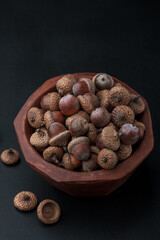 Oak tree acorns in a bowl on black background with copy space