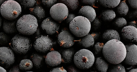 Tasty frozen black currants as background, top view