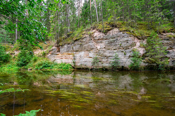 Obraz premium Outcrops of Devonian sandstone on the banks of Ahja river, Estonia. 