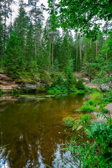 Fototapeta na wymiar Outcrops of Devonian sandstone on the banks of Ahja river, Estonia.