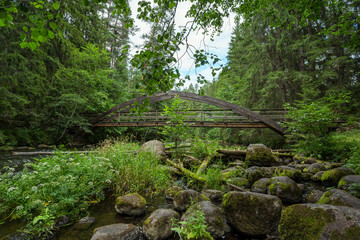 Fototapeta na wymiar Old wooden bridge over the river among the forest. Summer nature landscape.