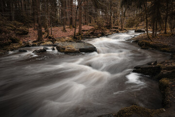 Wild river autunm in the forest
