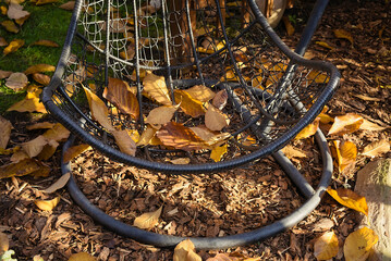 metal swing in the garden covered with autumn leaves