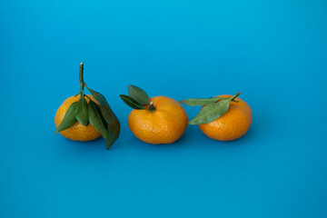 Three Mandarins on a blue background.