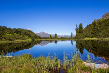 Naturschutzgebiet Wiegensee