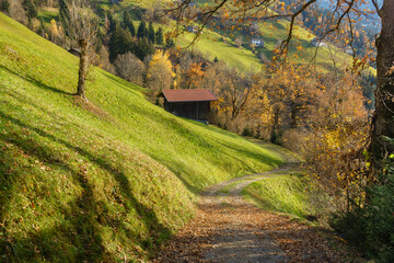 Wanderweg durch eine herbstliche Almwiese in Österreich