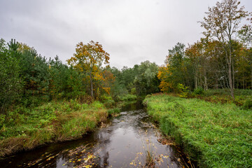 Fototapeta na wymiar Beautiful river in woods. autumn landscape.
