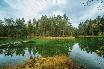 Fototapeta premium Beautiful blue lake in woods. autumn landscape. 