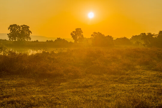 Sunrise over wetland in En Afek nature reserve