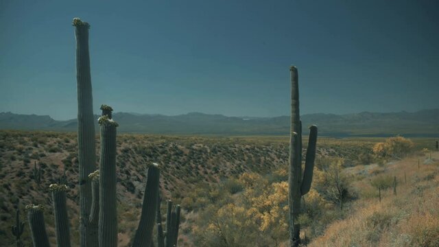 Aerial drone view of forests and cliffs at Theodor Roosevelt lake overlook in Tonto National Forest in Arizona, United States