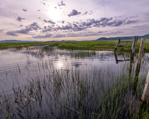 Fence leads into a marsh with sunrise clouds in the sky