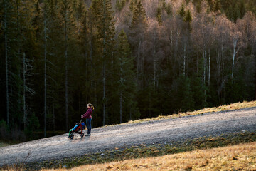Obraz premium Family walk in the forest. 