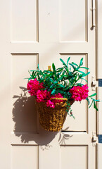 Maceta con flores colgada en una puerta