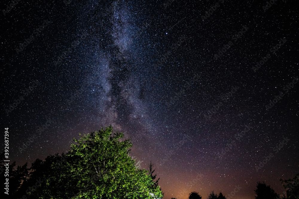 Wall mural overhead milky way with stars in clear summer night. country side.
