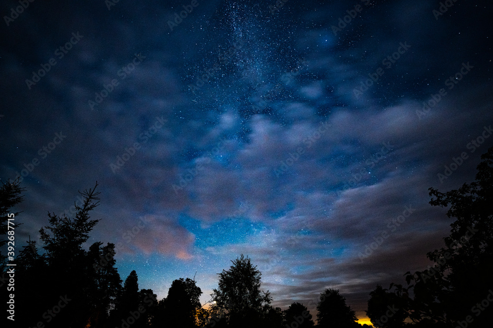 Wall mural overhead milky way with stars in clear summer night. country side.