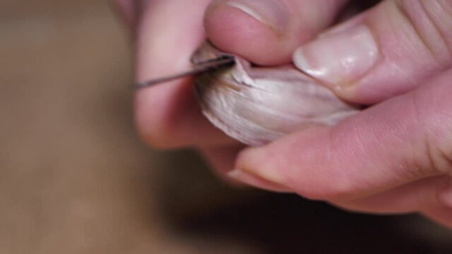 Woman peeling garlic with her hands and a knife